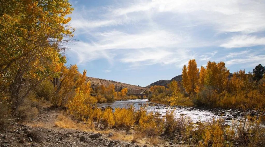 carson river park qué hacer áreas familiares y naturaleza latinos en nevada 2026