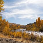 🌳 Carson River Park: qué hacer, áreas familiares y naturaleza
