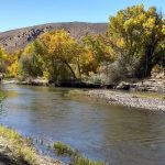 🌿Carson River Trail: ruta, qué hacer y consejos