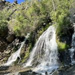 🥾 Ash to Kings Canyon Trail: senderismo, ruta y cómo llegar